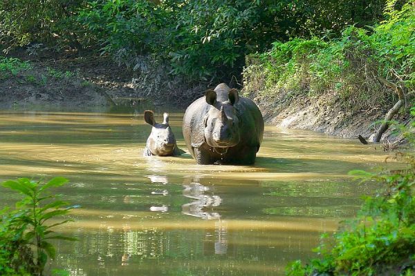 Chitwan-Nationalpark